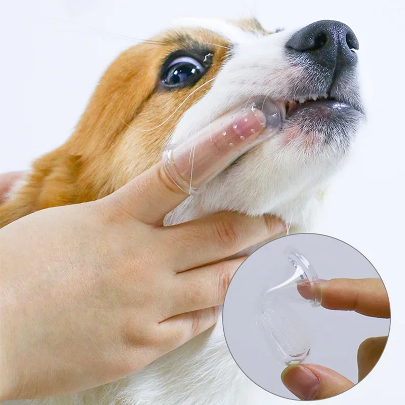 Köpekler ve kediler için ultra - Teeth Whitening Mouthwash incelemesi ve fiyatı