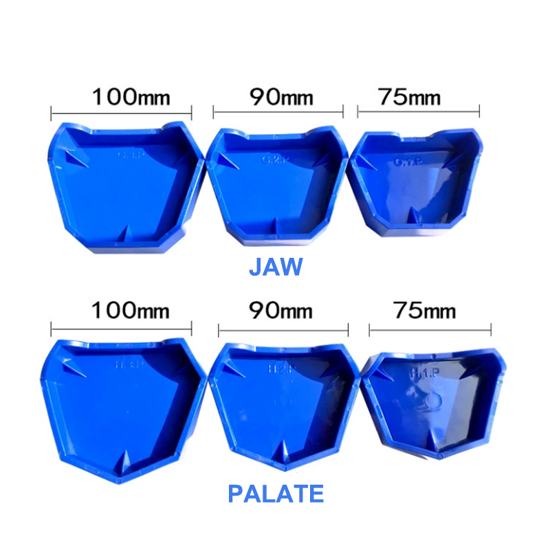 2/6 Adet Silikon Diş Modeli Ta - Teeth Whitening Tray incelemesi ve fiyatı