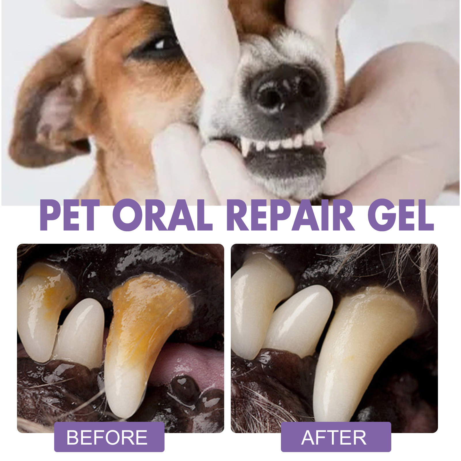 Pet Oral Onarım Jeli Yavru Tar - Whitening Mouthwash incelemesi ve fiyatı