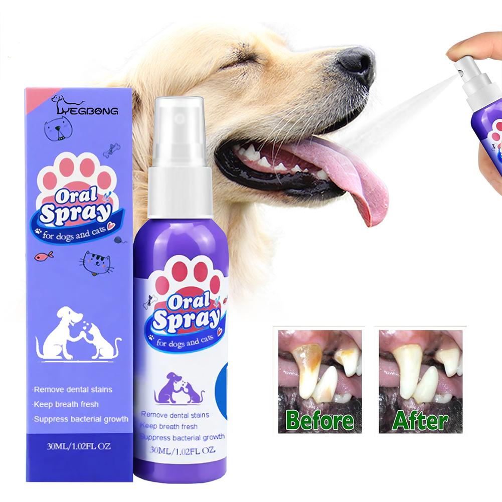 Evcil Hayvan Ağız Temizleme Sp - Whitening Mouthwash incelemesi ve fiyatı