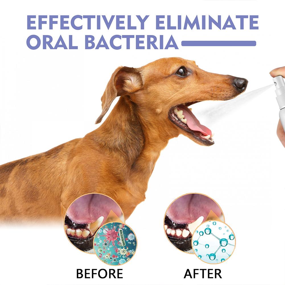 Evcil Hayvan Ağız Temizleme Sp - Whitening Mouthwash incelemesi ve fiyatı